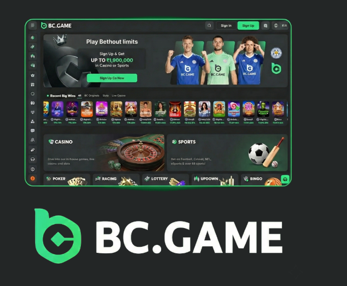 how-to-register-on-bc-game-your-ultimate-guide_2 How to Register on BC.Game Your Ultimate Guide -213191432